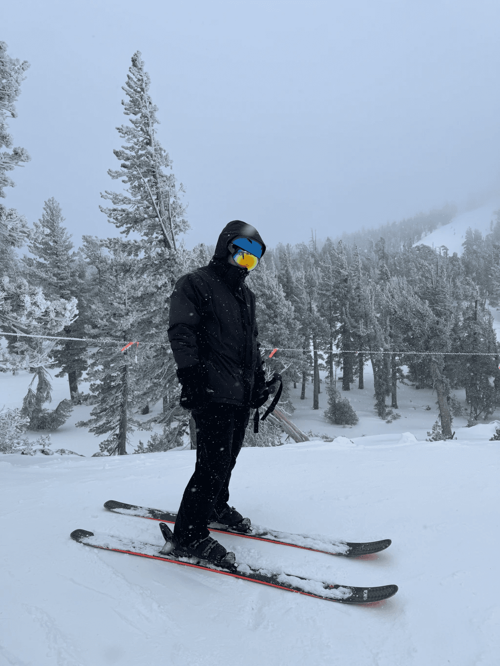 Dennis skiing at Heavenly in snowy conditions